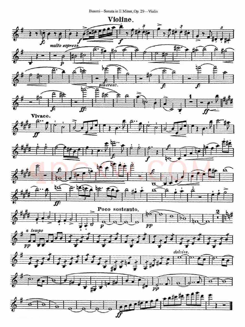 Violin Sonata No.1 in E Minor Op.29
