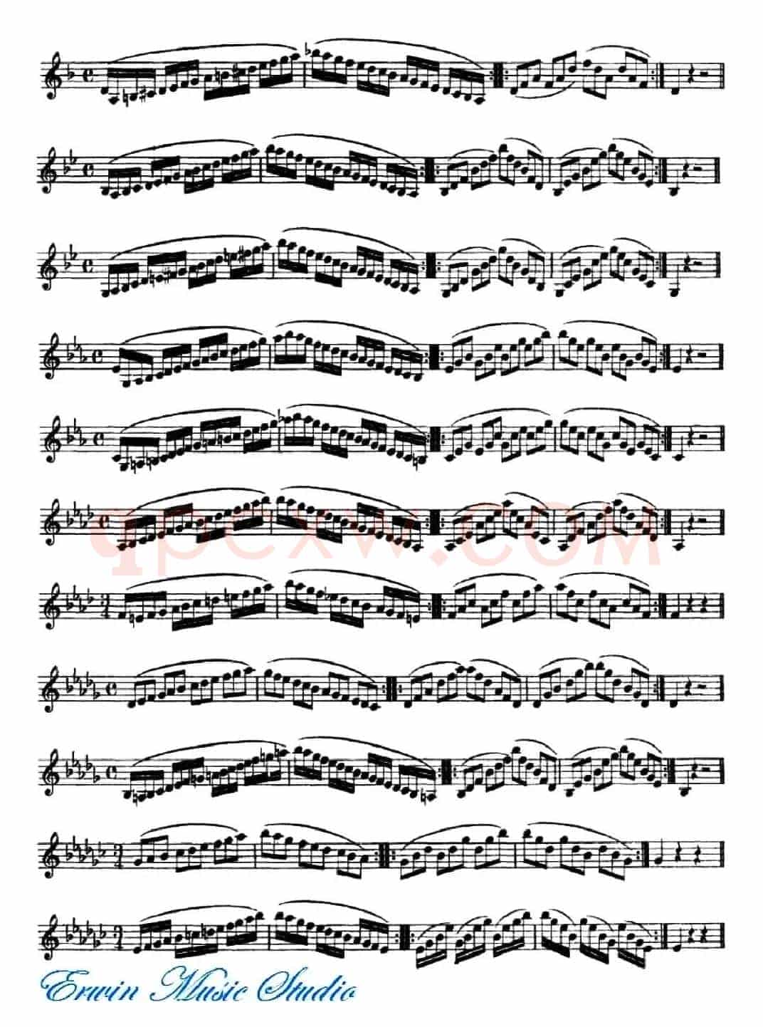 赫利美利《小提琴音阶练习》（Hrimaly《Scale Studies》）