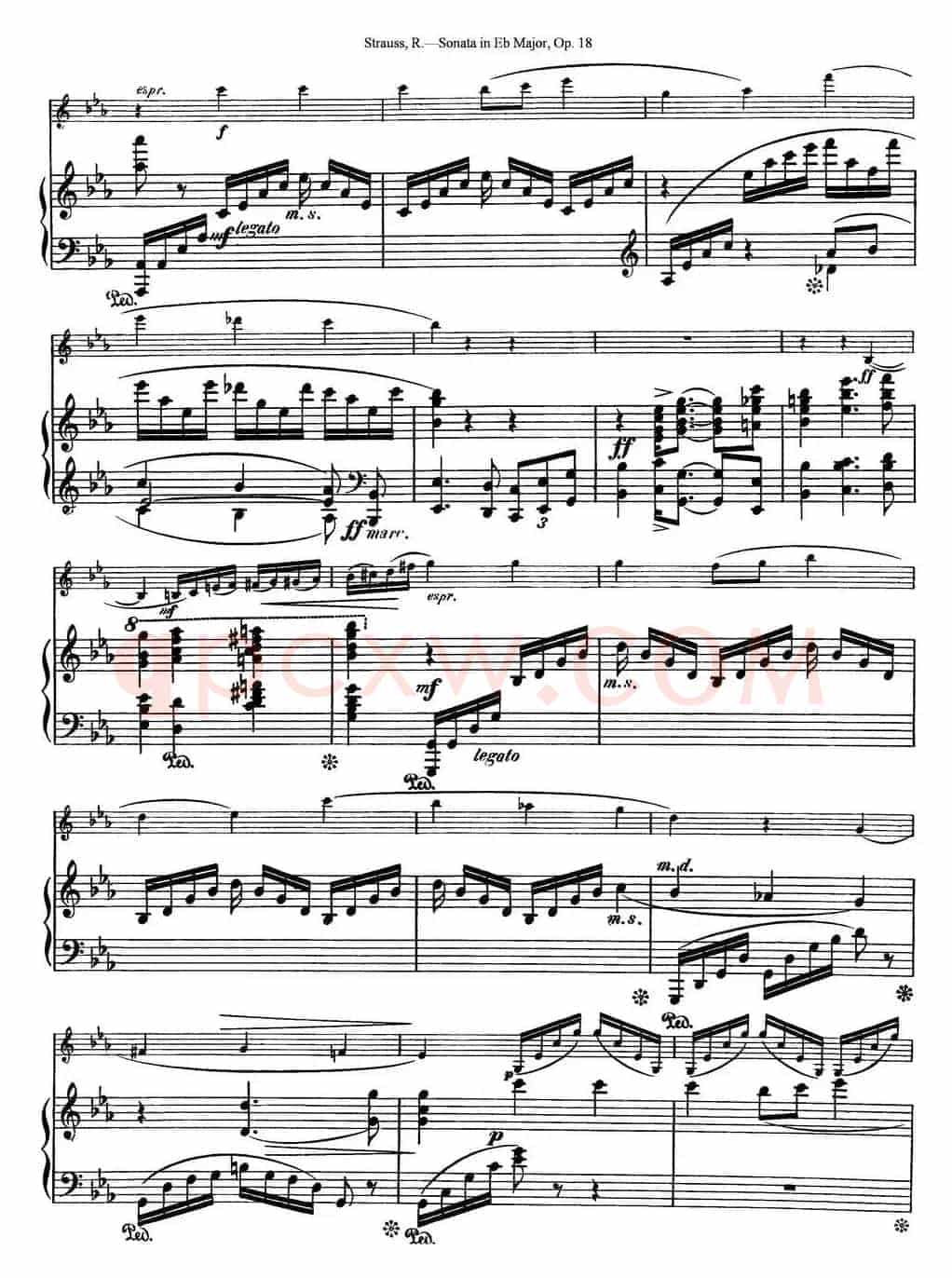 Violin Sonata in Eb Major Op.18（小提琴+钢琴伴奏）