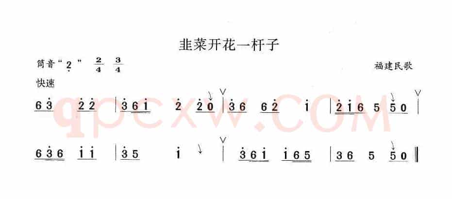 韭菜开花一竿子