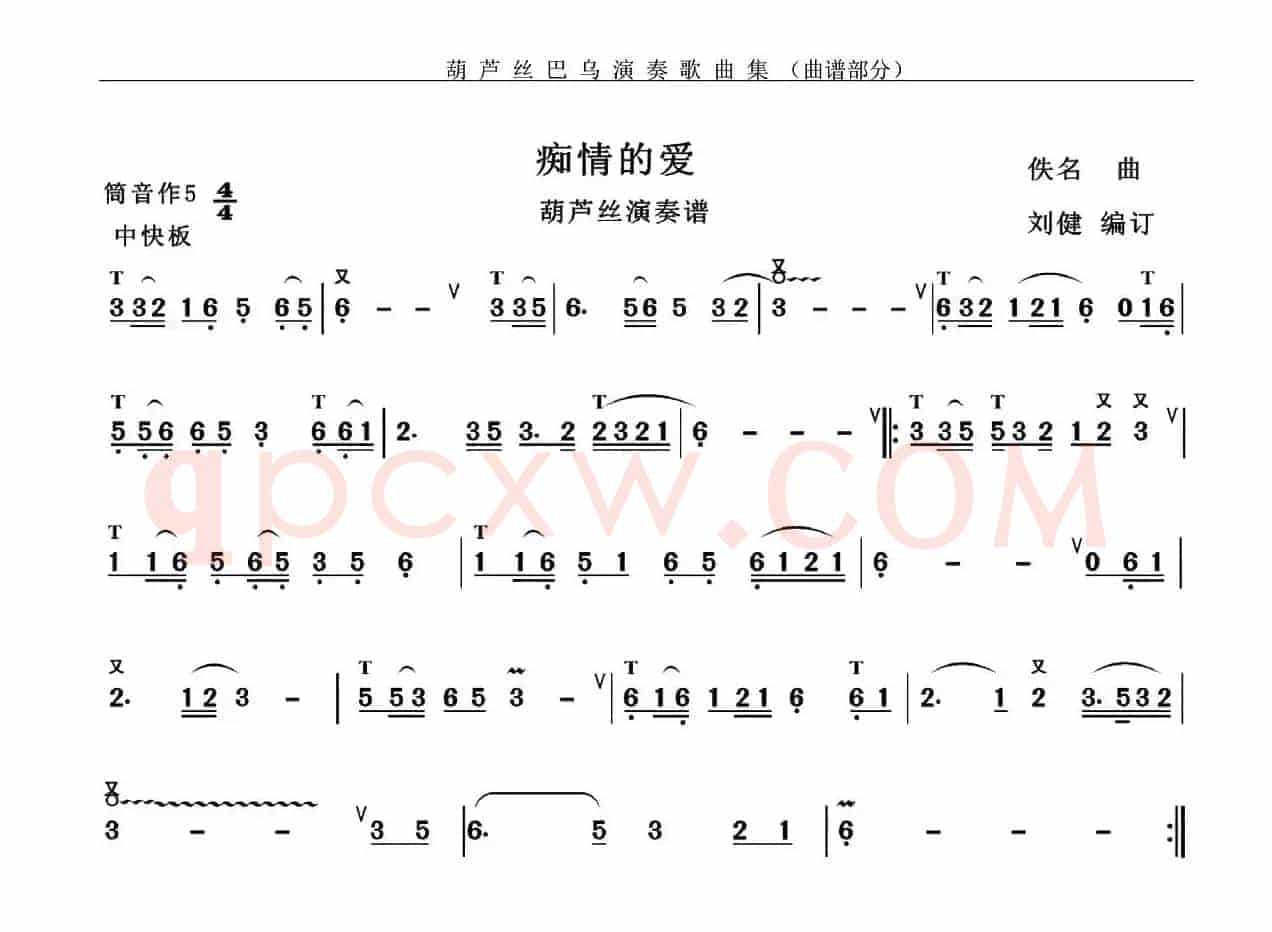 痴情的爱