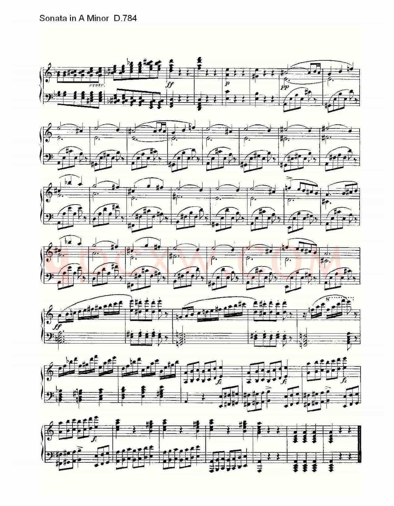 Sonata in A Minor D.784（A小调奏鸣曲D.784）