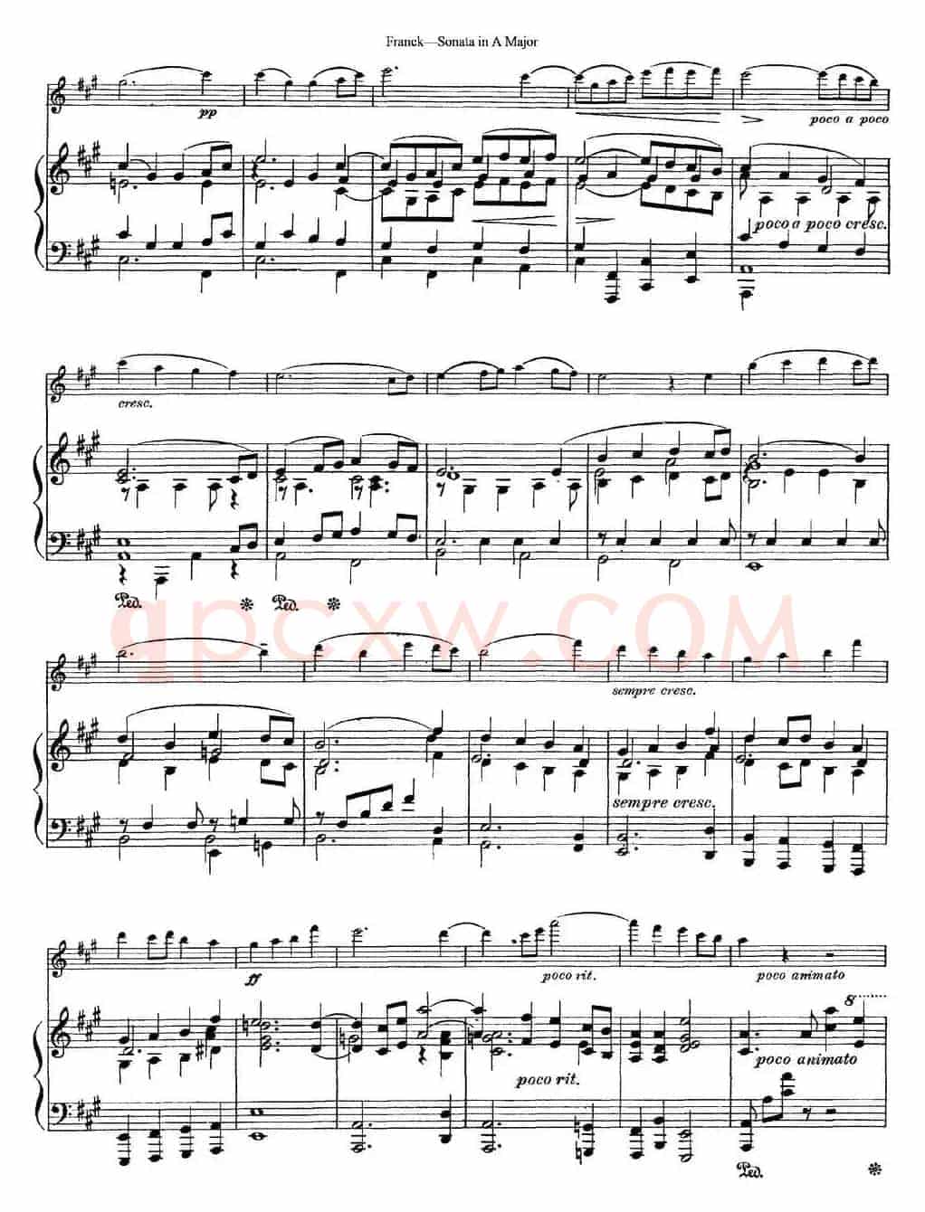 Franck Sonata in A Major（小提琴+钢琴伴奏）