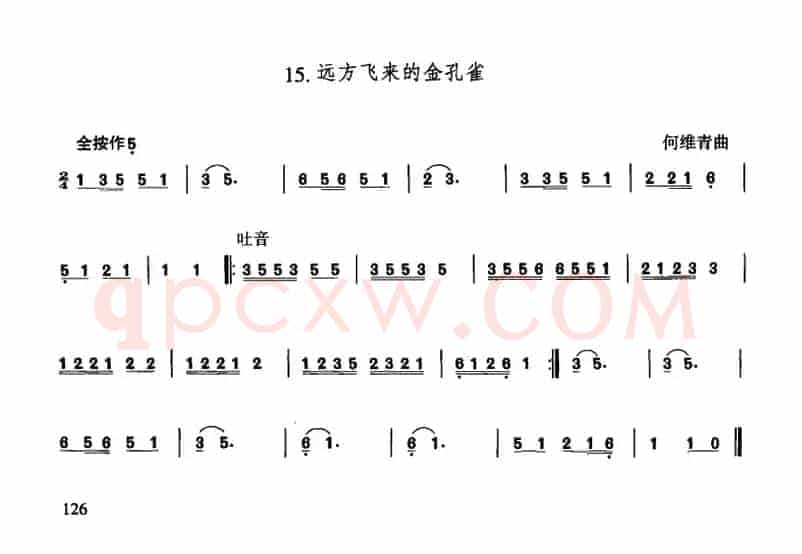 远方飞来的金孔雀