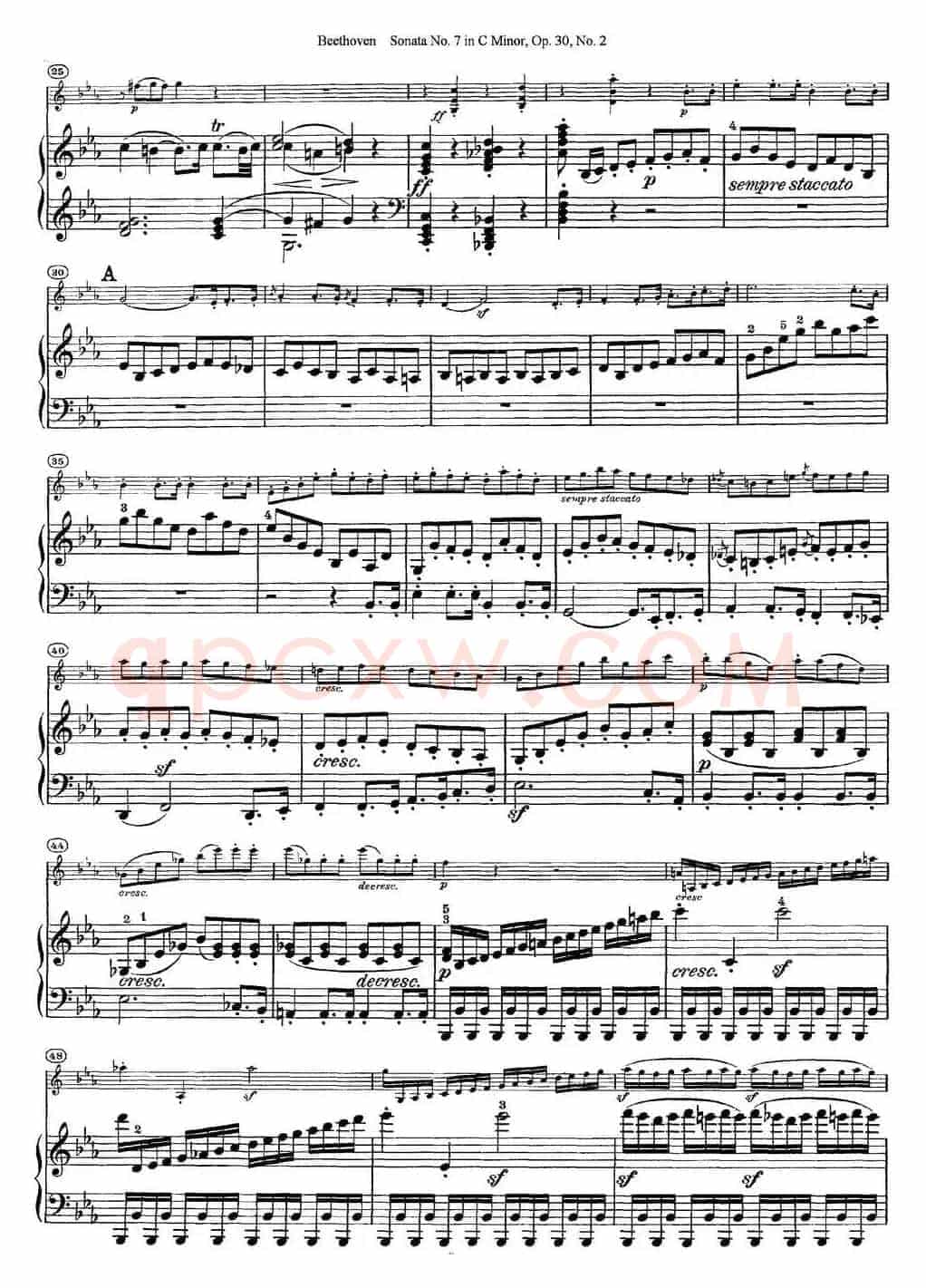 Violin Sonata No.7 in C Minor Op.30 No.2（小提琴+钢琴伴奏）