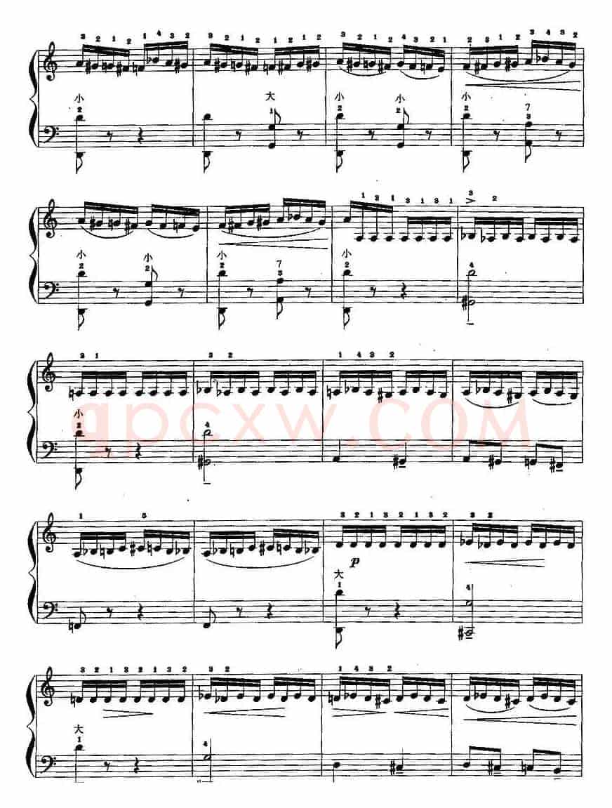 儿童手风琴曲：野蜂飞舞
