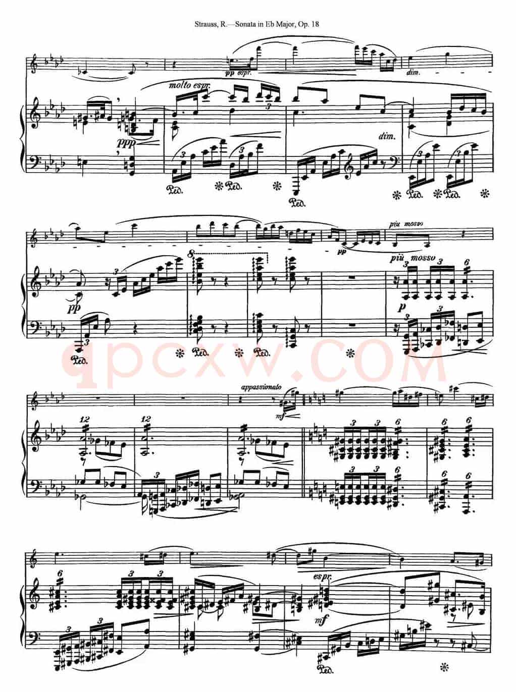 Violin Sonata in Eb Major Op.18（小提琴+钢琴伴奏）