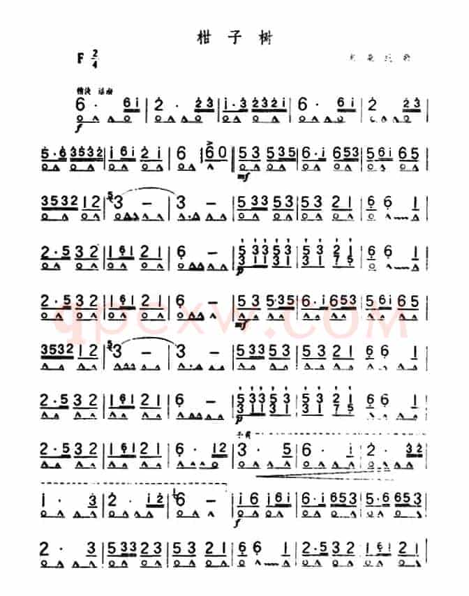 柑子树