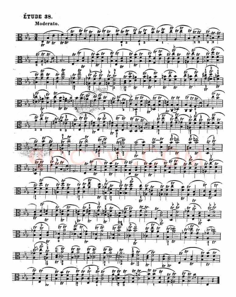 克莱采尔《中提琴练习曲40首》（ETUDE 36-38）