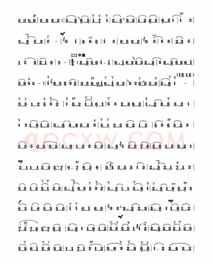 丝弦小调（中音板胡）