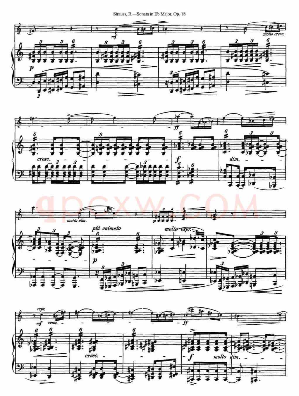 Violin Sonata in Eb Major Op.18（小提琴+钢琴伴奏）