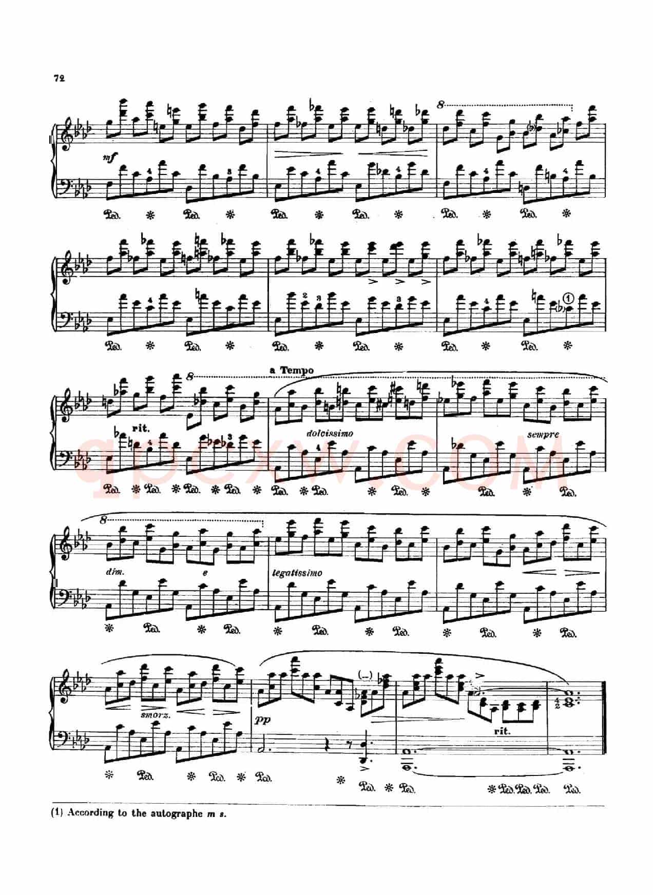 12 Etudes Op.10 柯尔托教学版（12首练习曲·10）