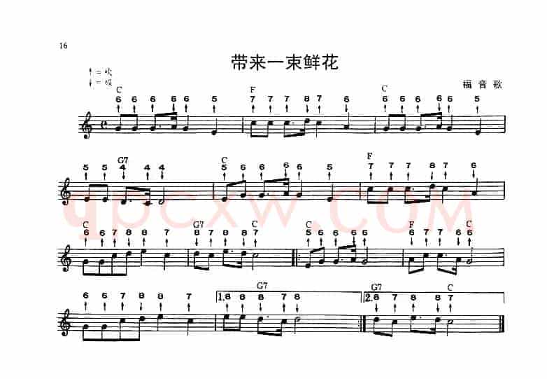 带来一束鲜花（布鲁斯）