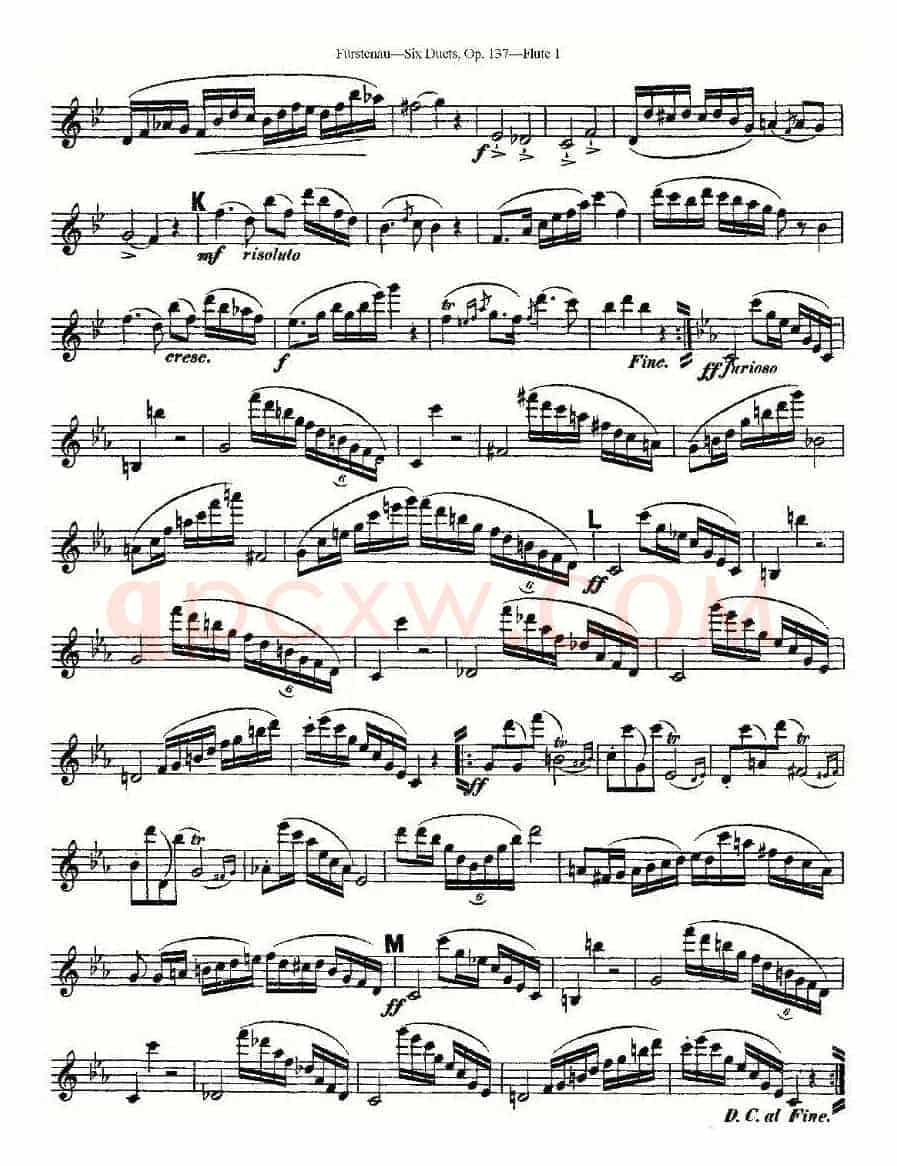 Six Duets, Op.137 之五（二重奏 六首作品 137号）