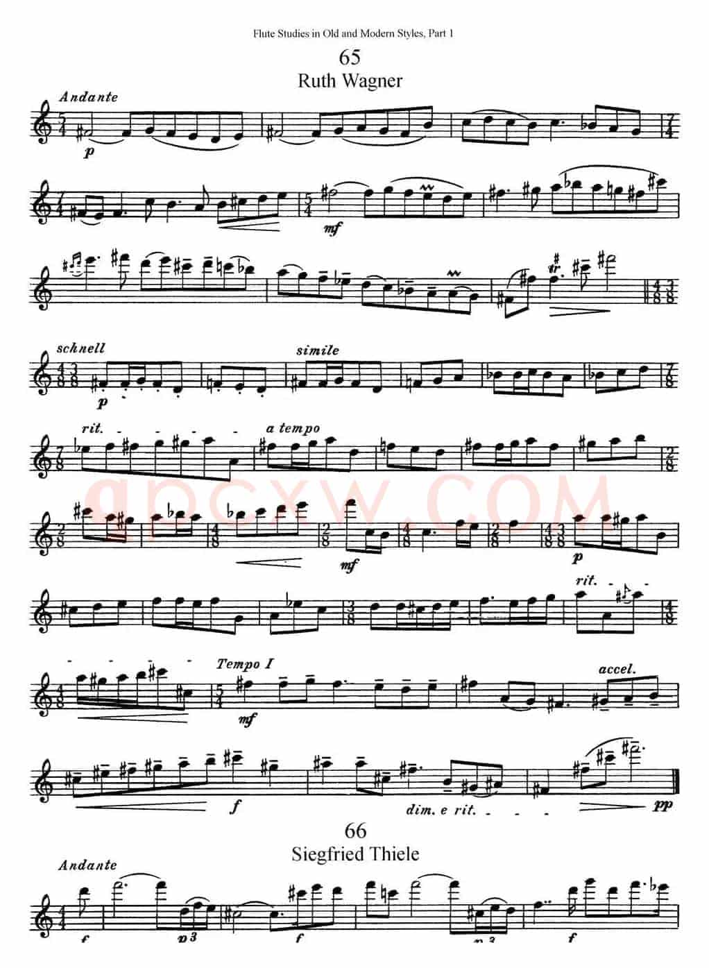 斯勒新老风格长笛练习重奏曲（第一部分）（NO.65-NO.67）