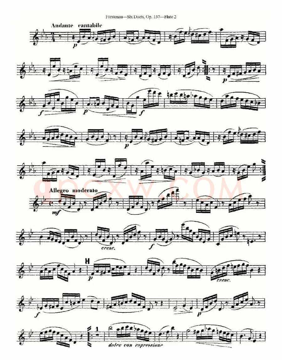Six Duets, Op.137 之五（二重奏 六首作品 137号）