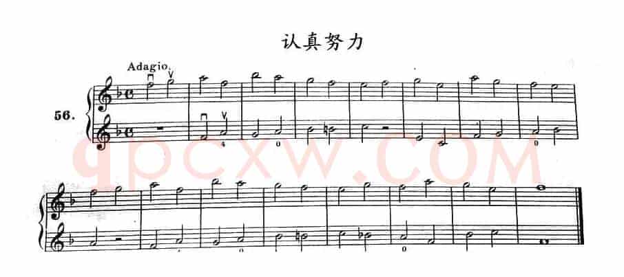 认真努力