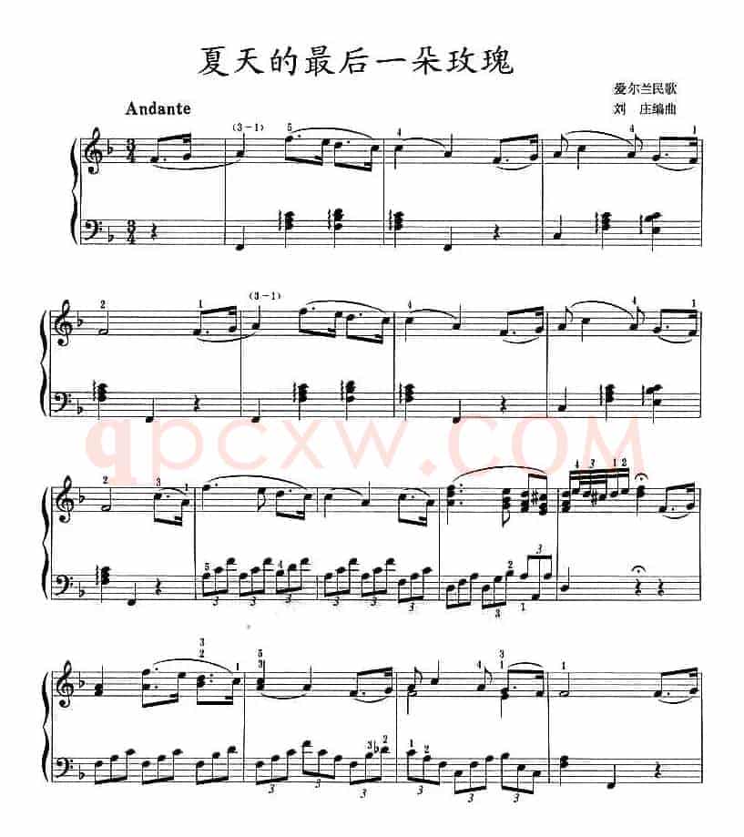 夏天的最后一朵玫瑰