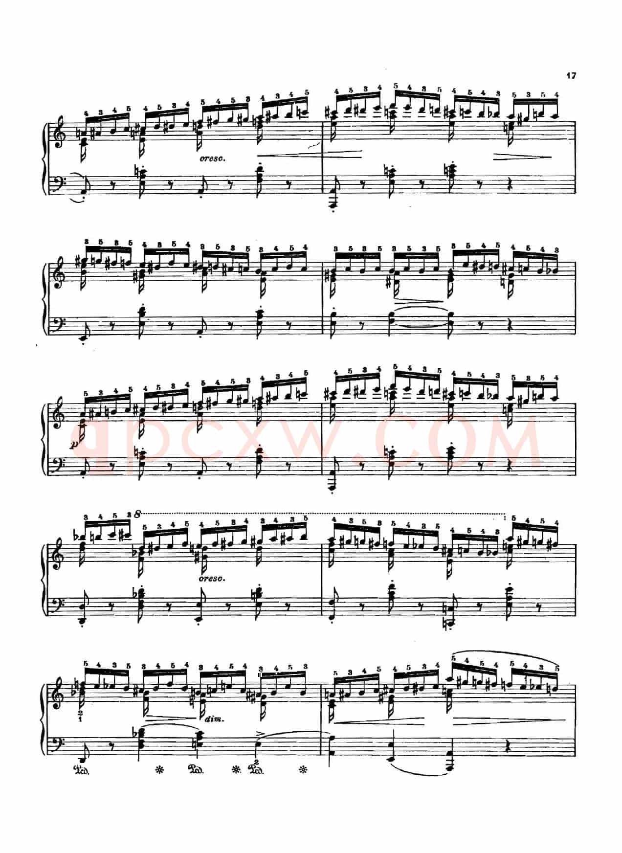 12 Etudes Op.10 柯尔托教学版（12首练习曲·2）
