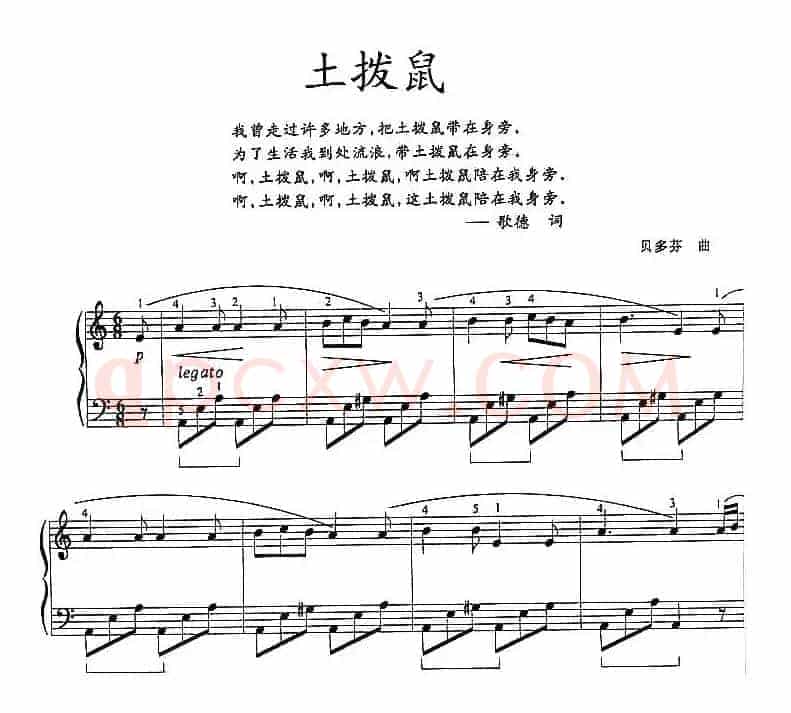土拨鼠（3个版本）