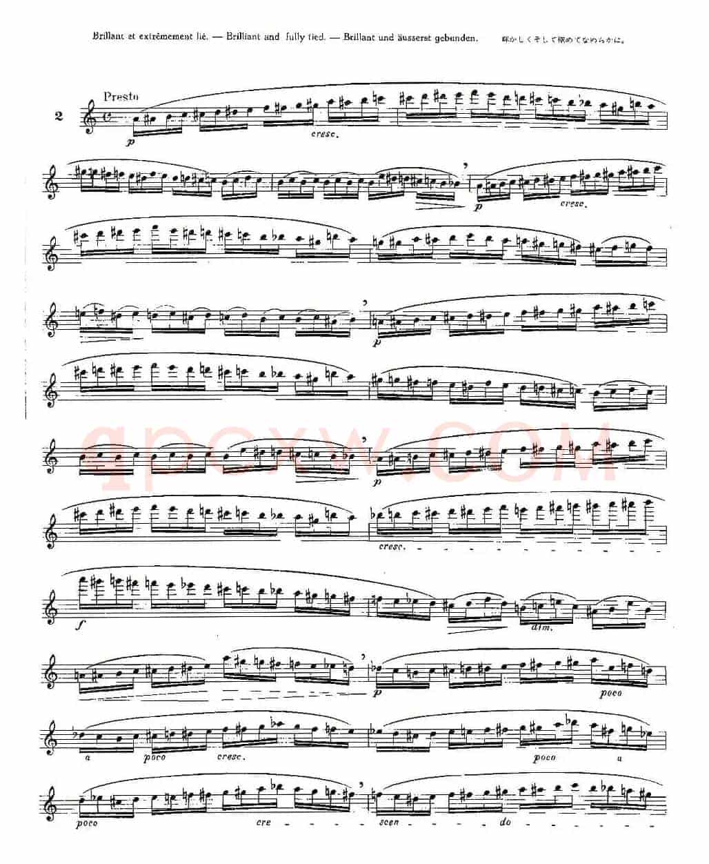 12首大技巧练习曲之2