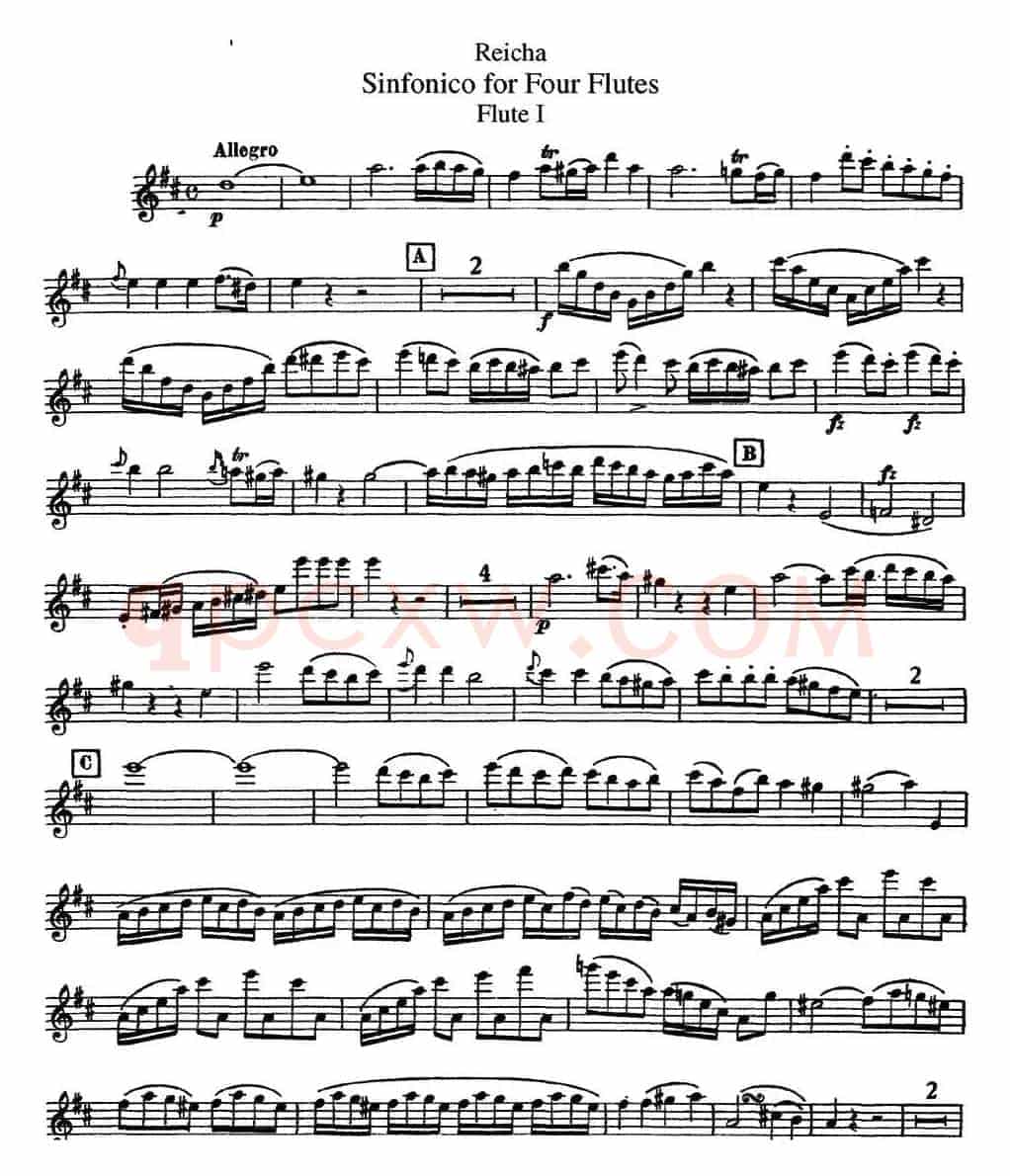 瑞查长笛四重奏（Flute 1）