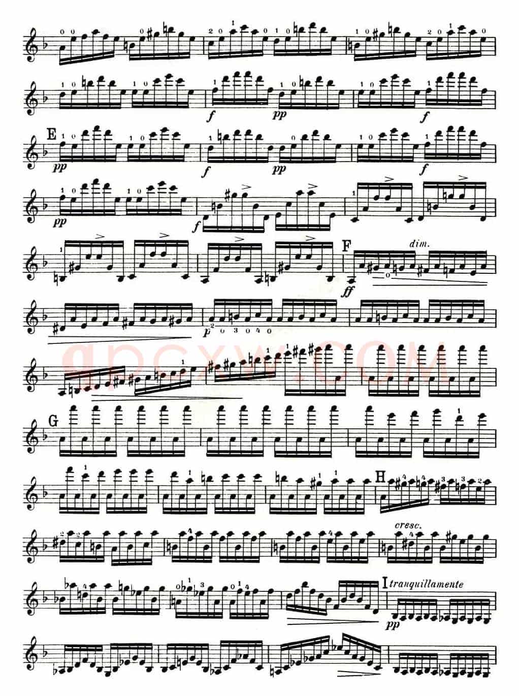 MOTO PERPETUO（无穷动）