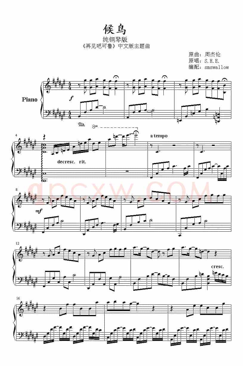 候鸟（《再见吧可鲁》中文版主题曲）