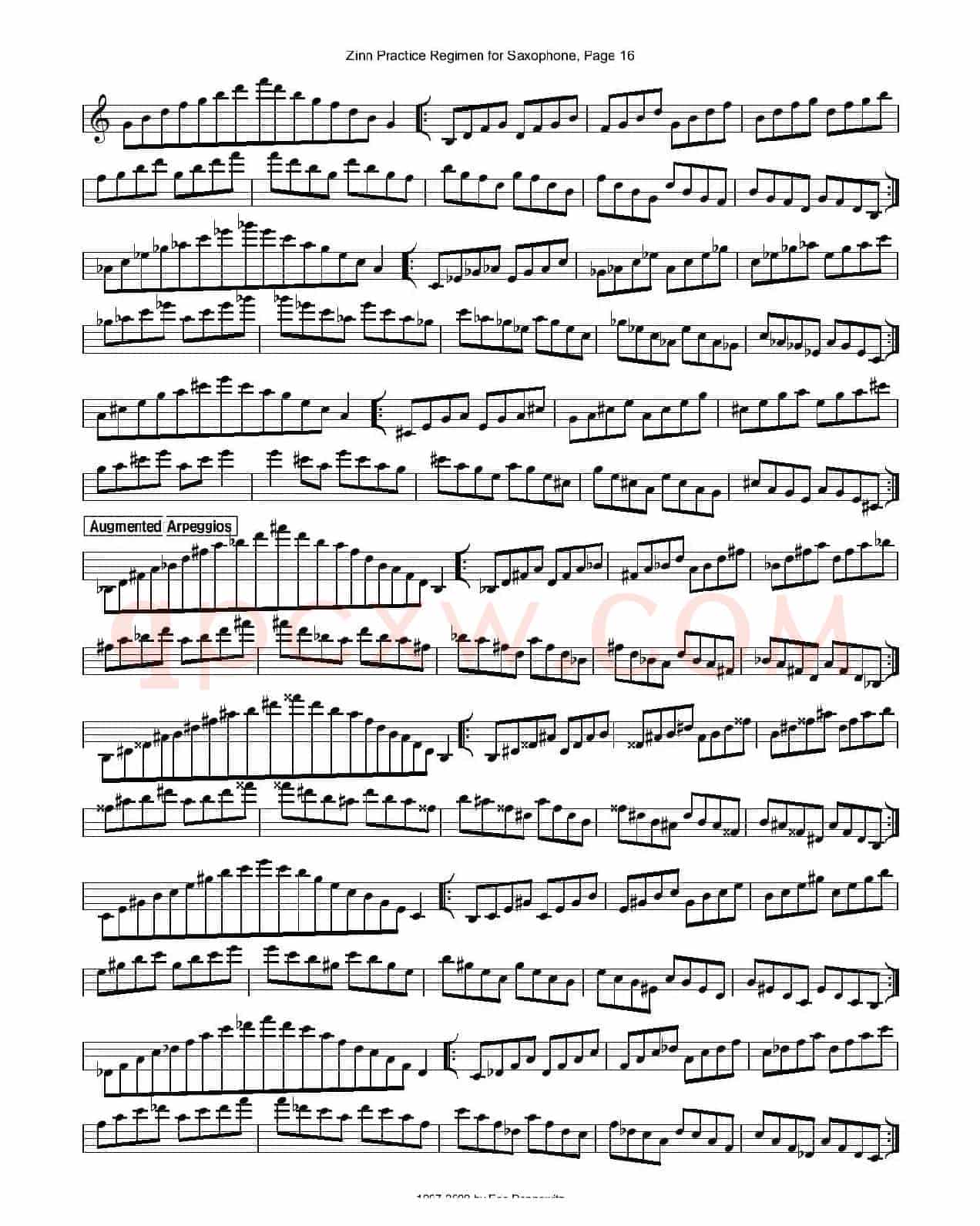ZinnRegimenSax2009练习曲