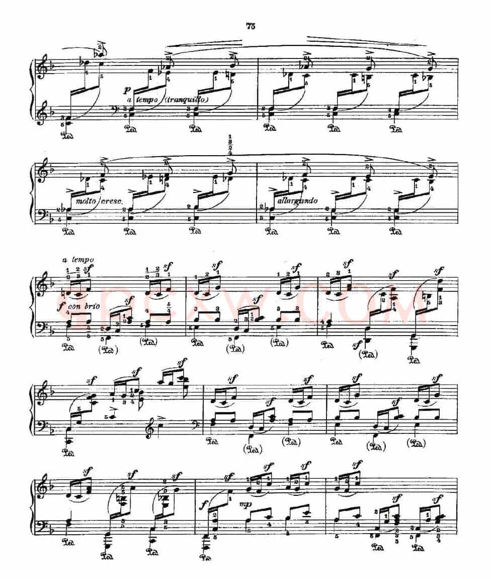 肖邦《练习曲》Fr.Chopin Op.25 No3-2