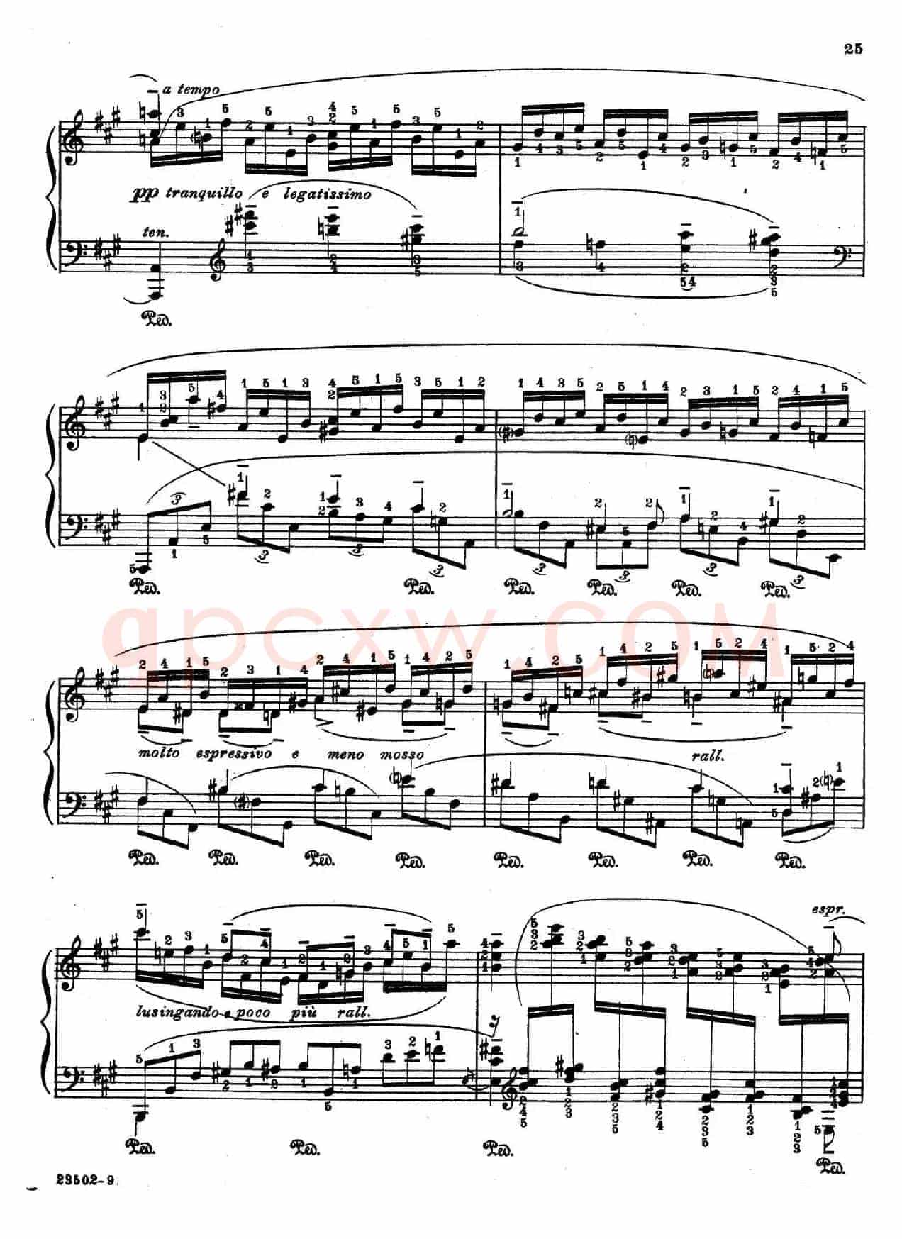 Java Suiten(爪哇组曲·Ⅺ)