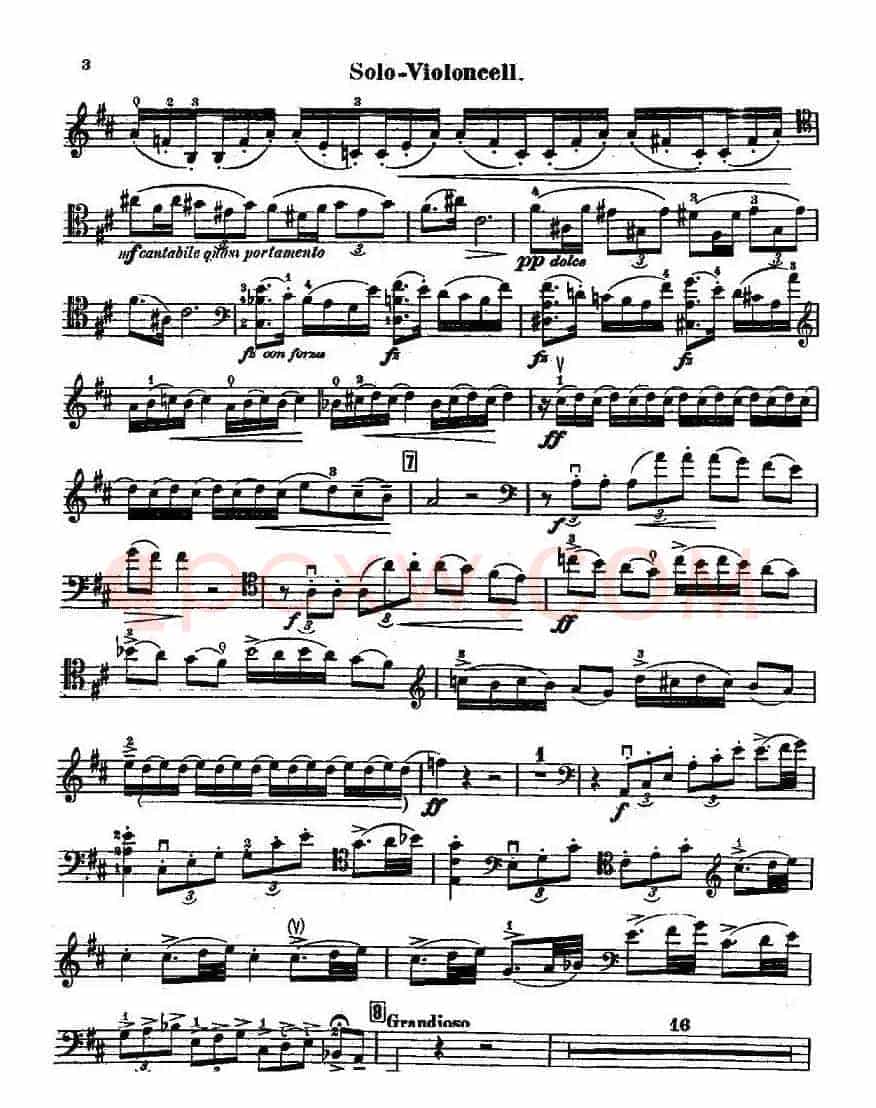 CELLO CONCERTO in B minor（大提琴）