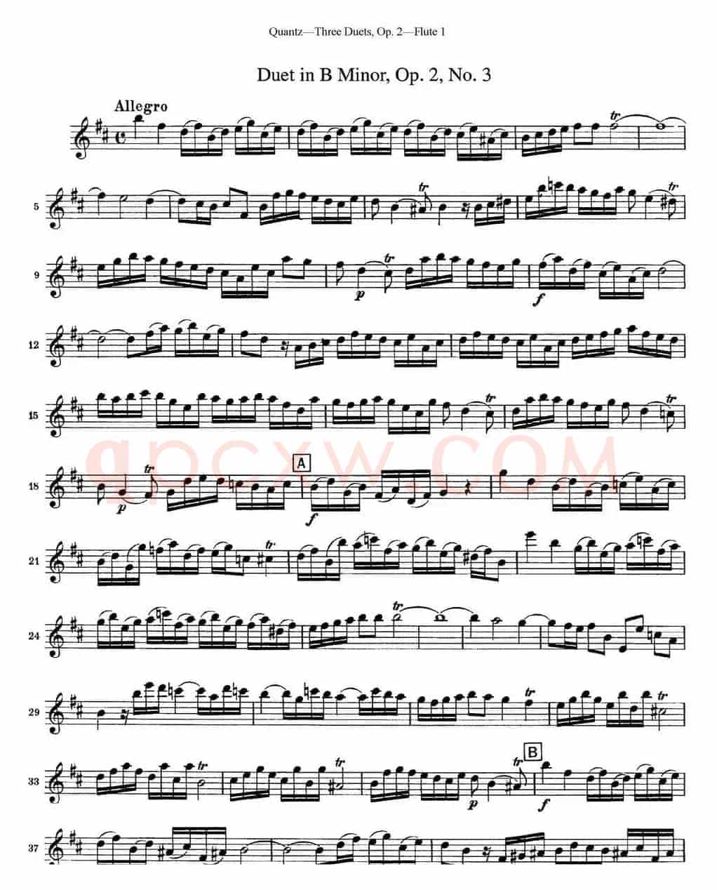 匡茨G大调长笛二重奏Op.2——Flute 1（No.3）
