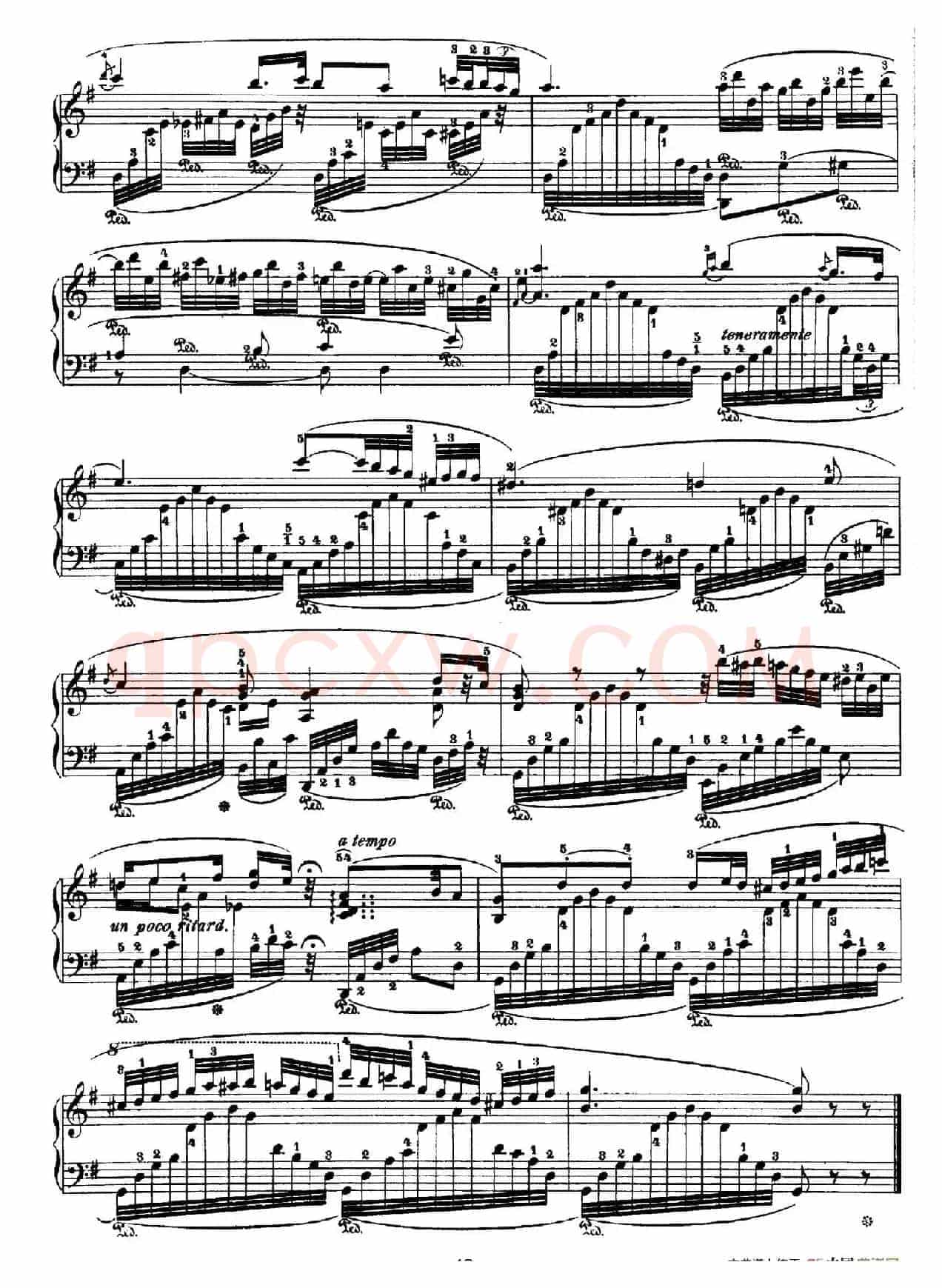 Nocturne No.12 in G Major (G大调第十二号夜曲)