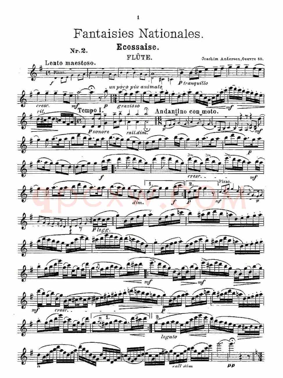 Fantaisies nationales. Op. 59, 2. 
