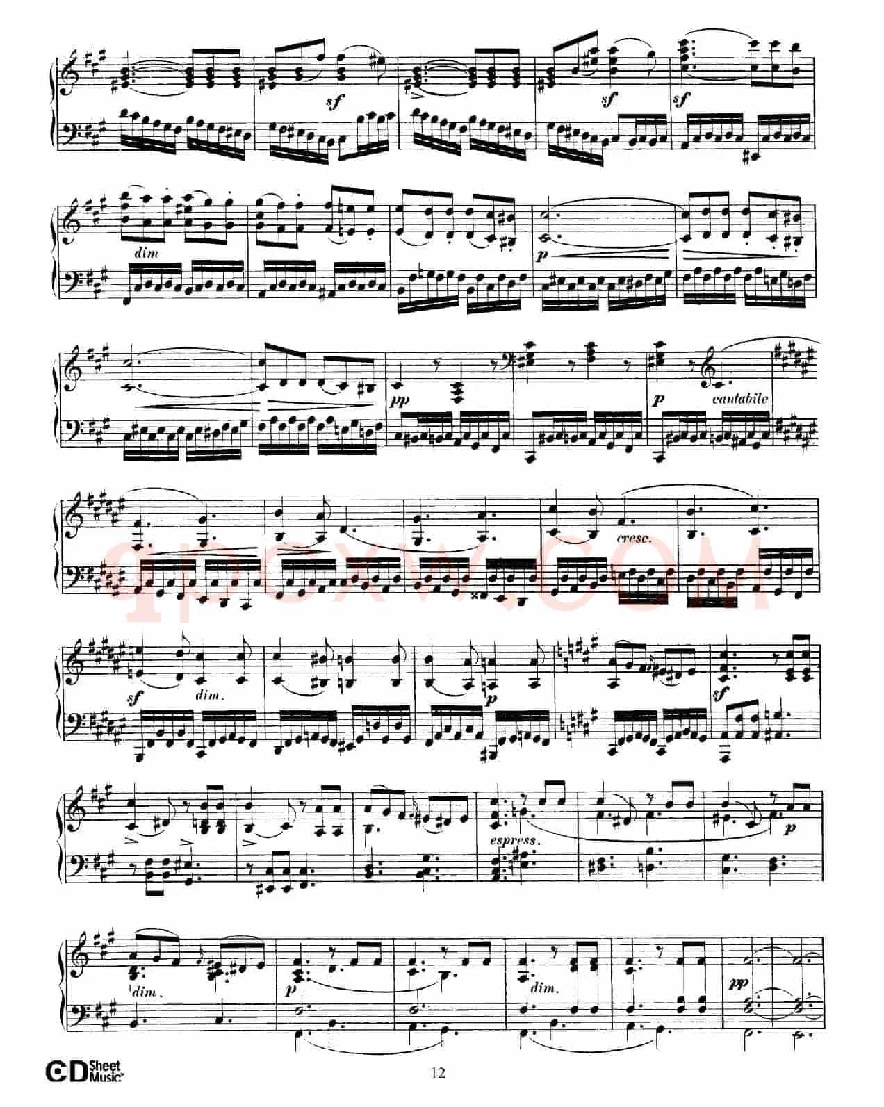 Fantasy in f-Sharp Minor Op.28(升f小调幻想曲)