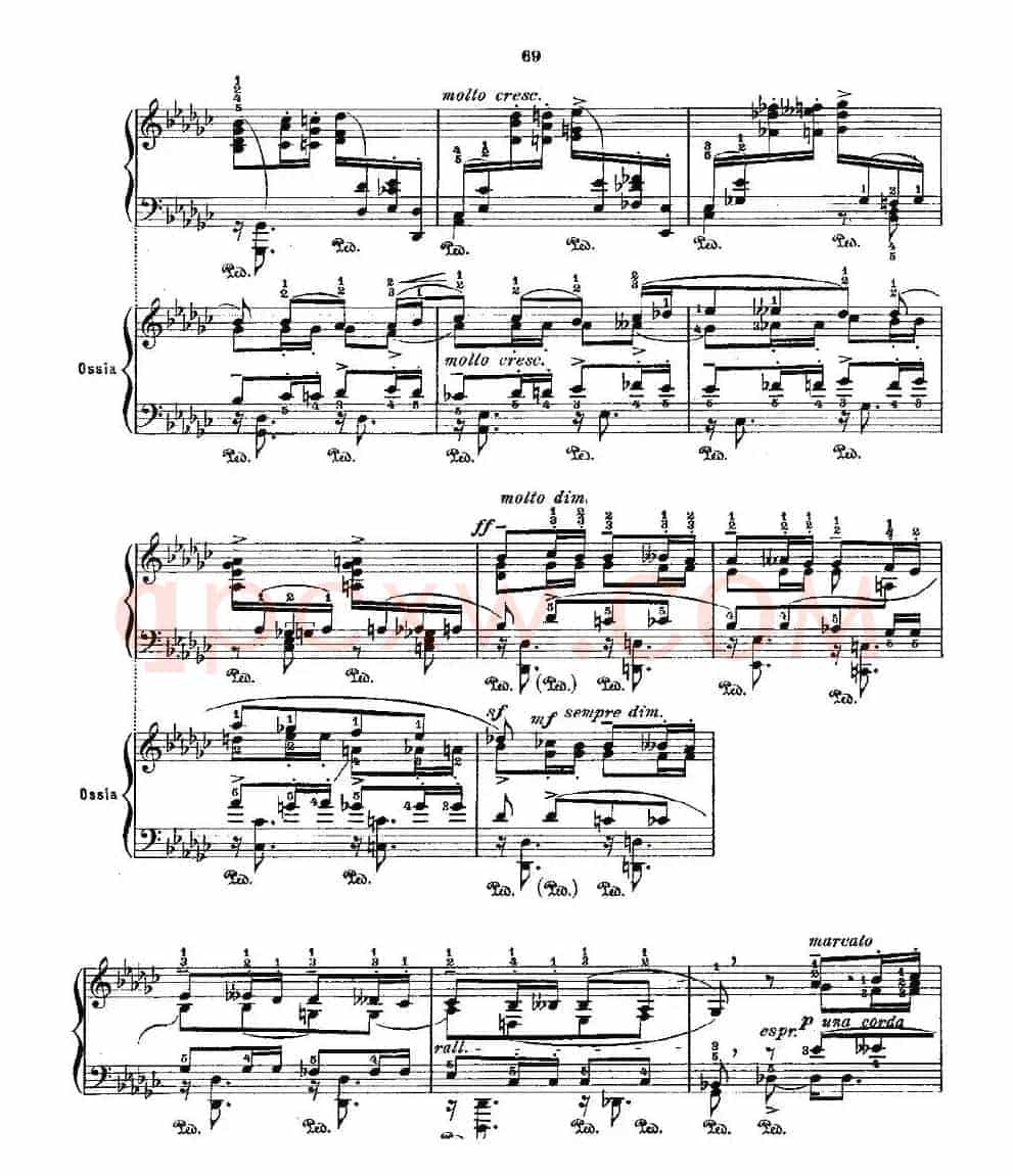 肖邦《练习曲》Fr.Chopin Op.25 No9-2