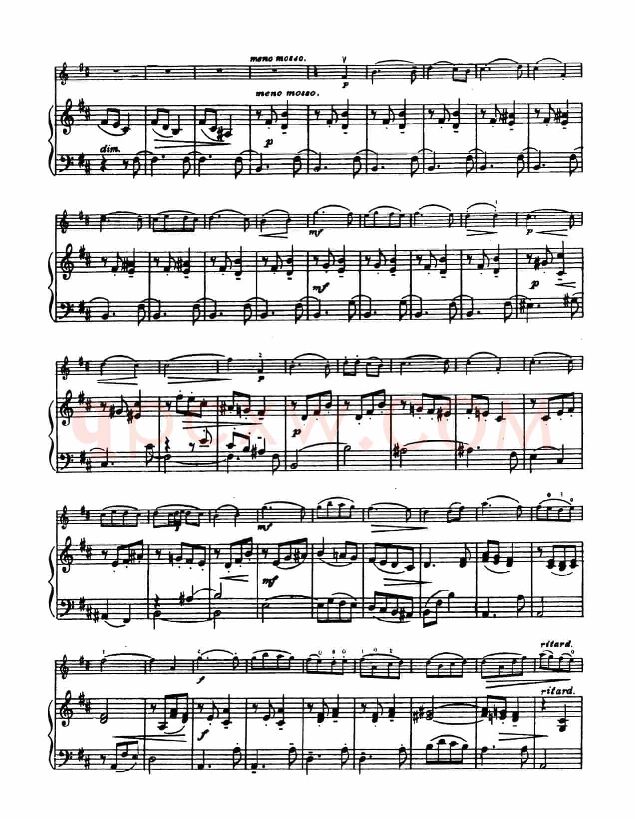 D大调学生协奏曲（塞茨作品第14号）