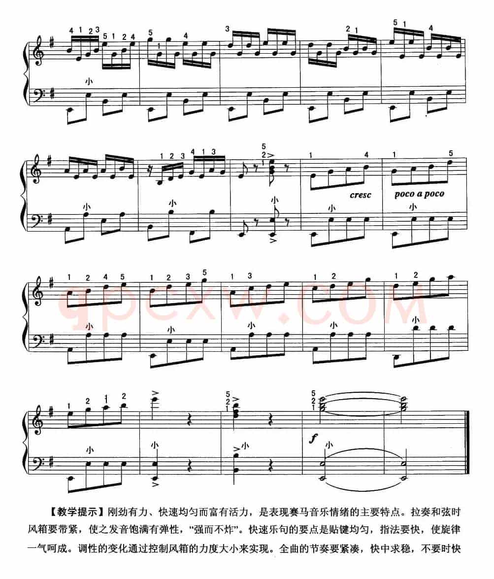 赛马