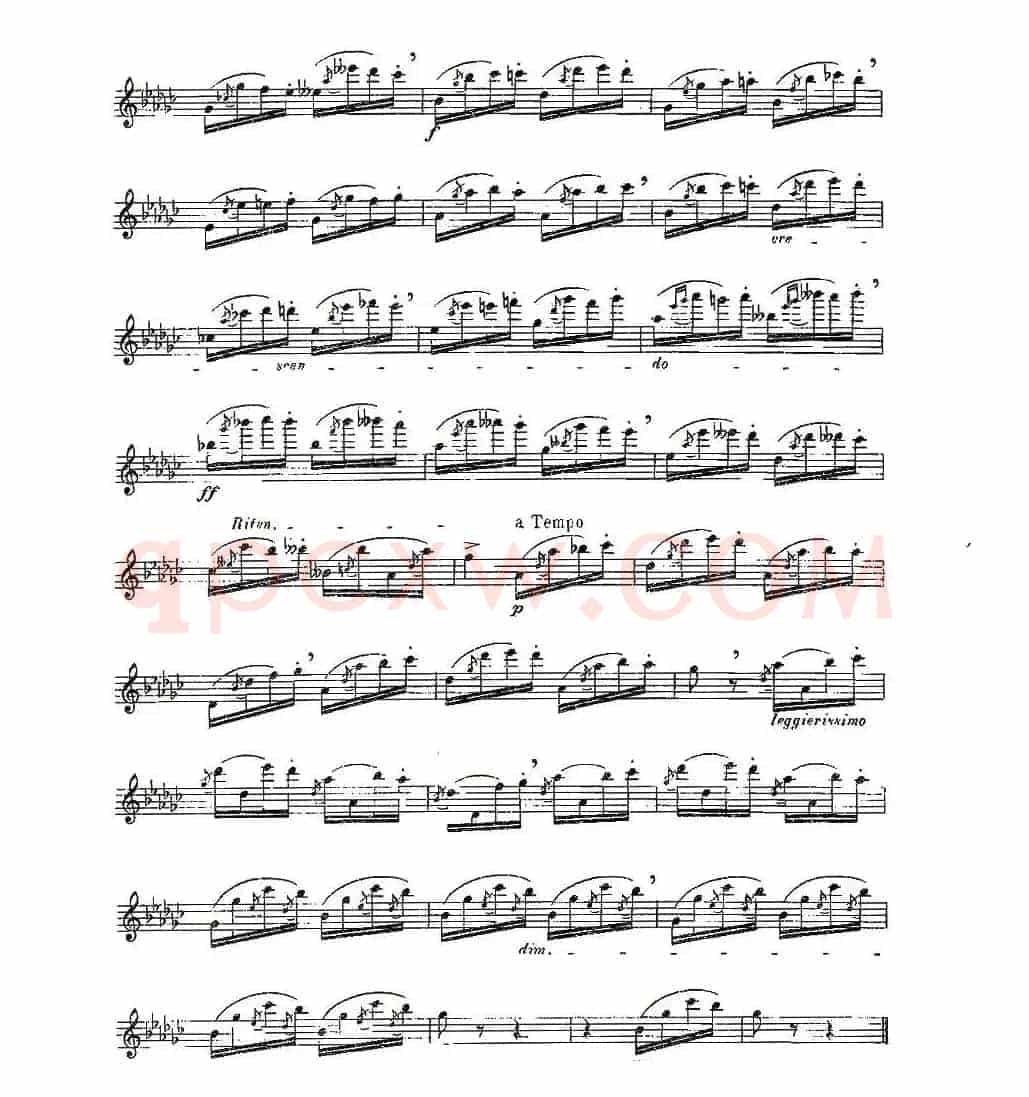 12首大技巧练习曲之9