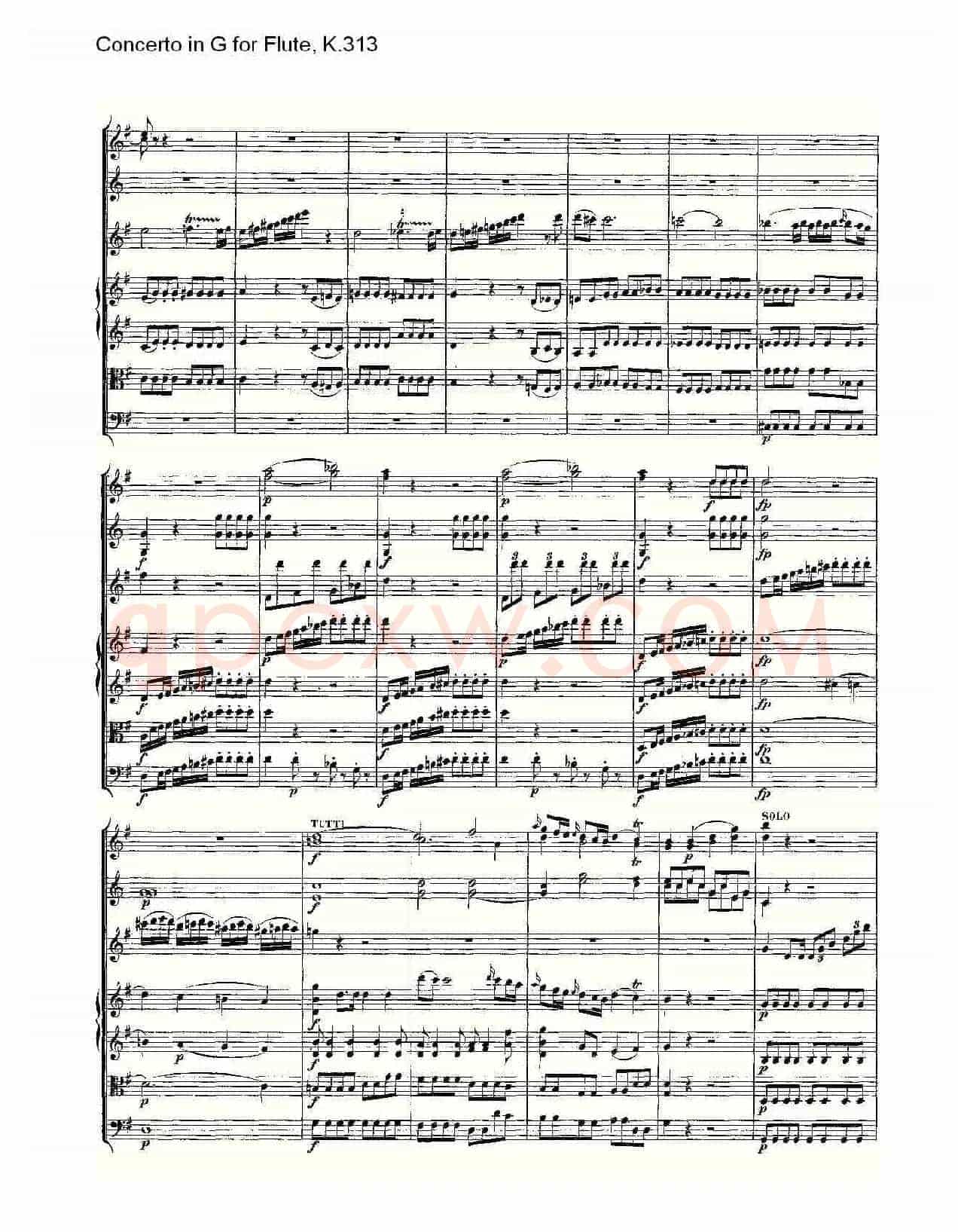 Concerto in G for Flute, K.313（G调长笛协奏曲, K.313）