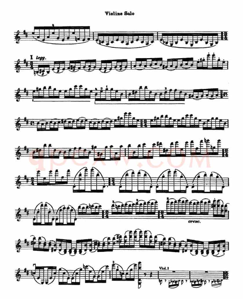 Concerto in D Major