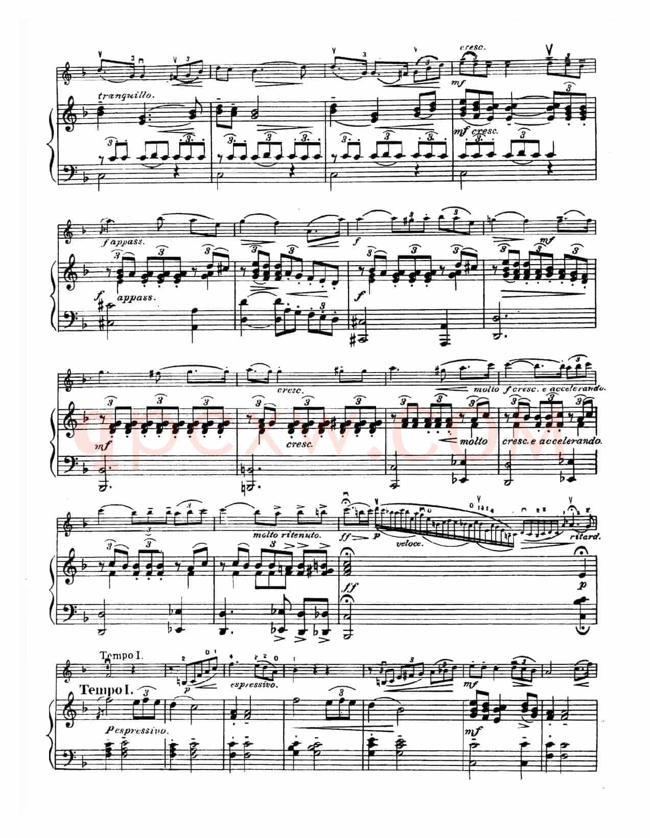 D大调学生协奏曲（塞茨作品第15号）