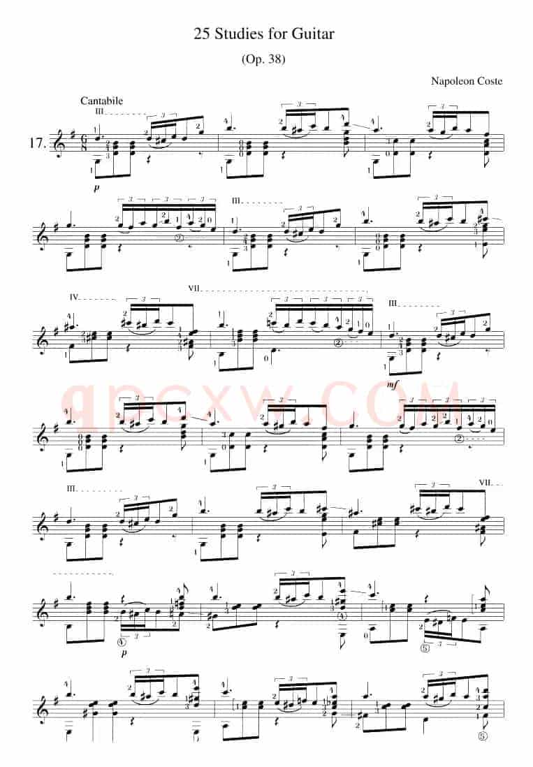 Napoleon Coste《25 Studies,Op.38》（STUDY 17）