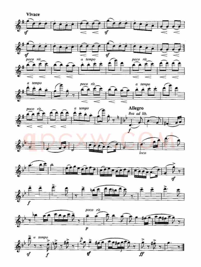 匈牙利舞曲第五号