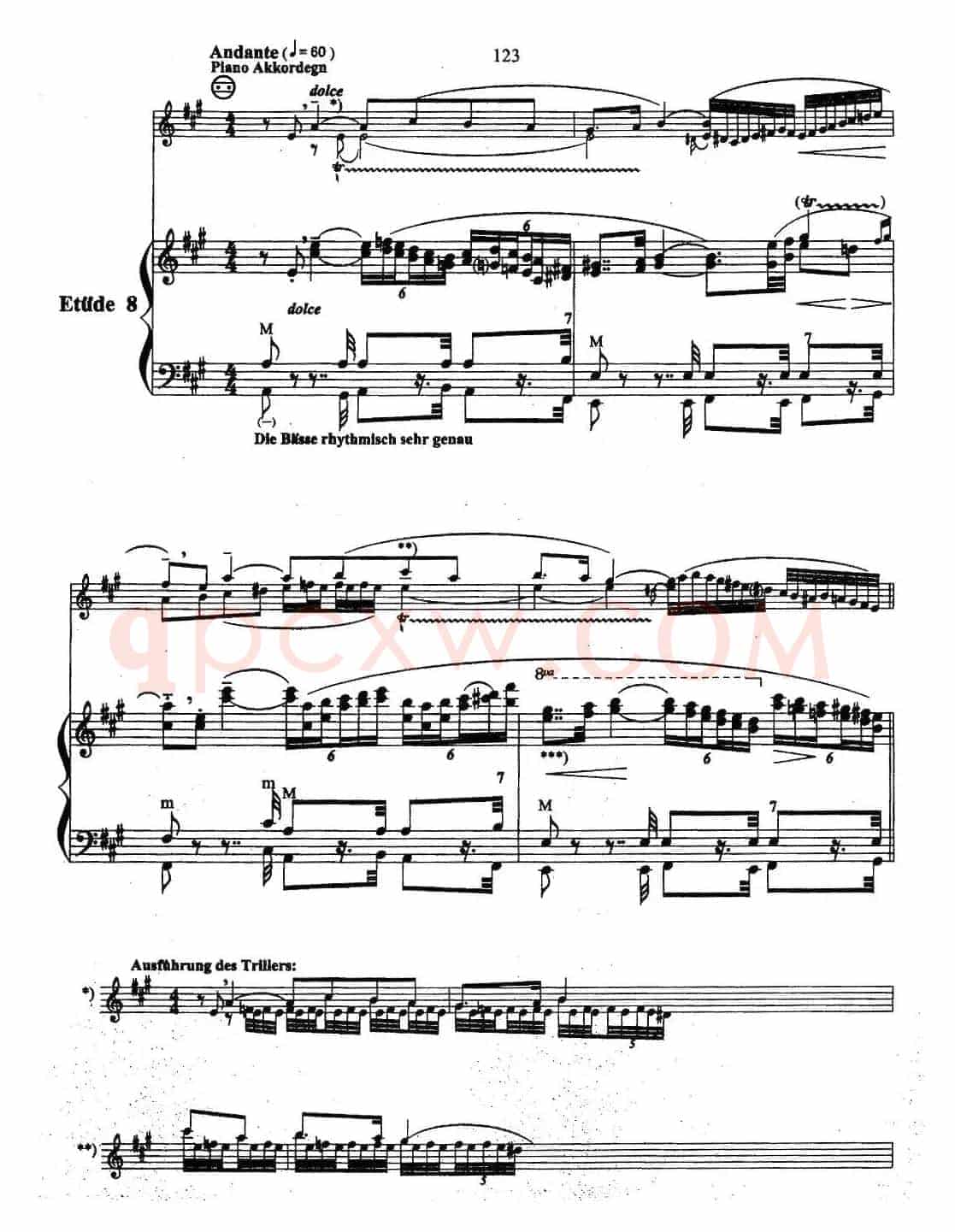 帕格尼尼主题音乐会练习曲（6—10）