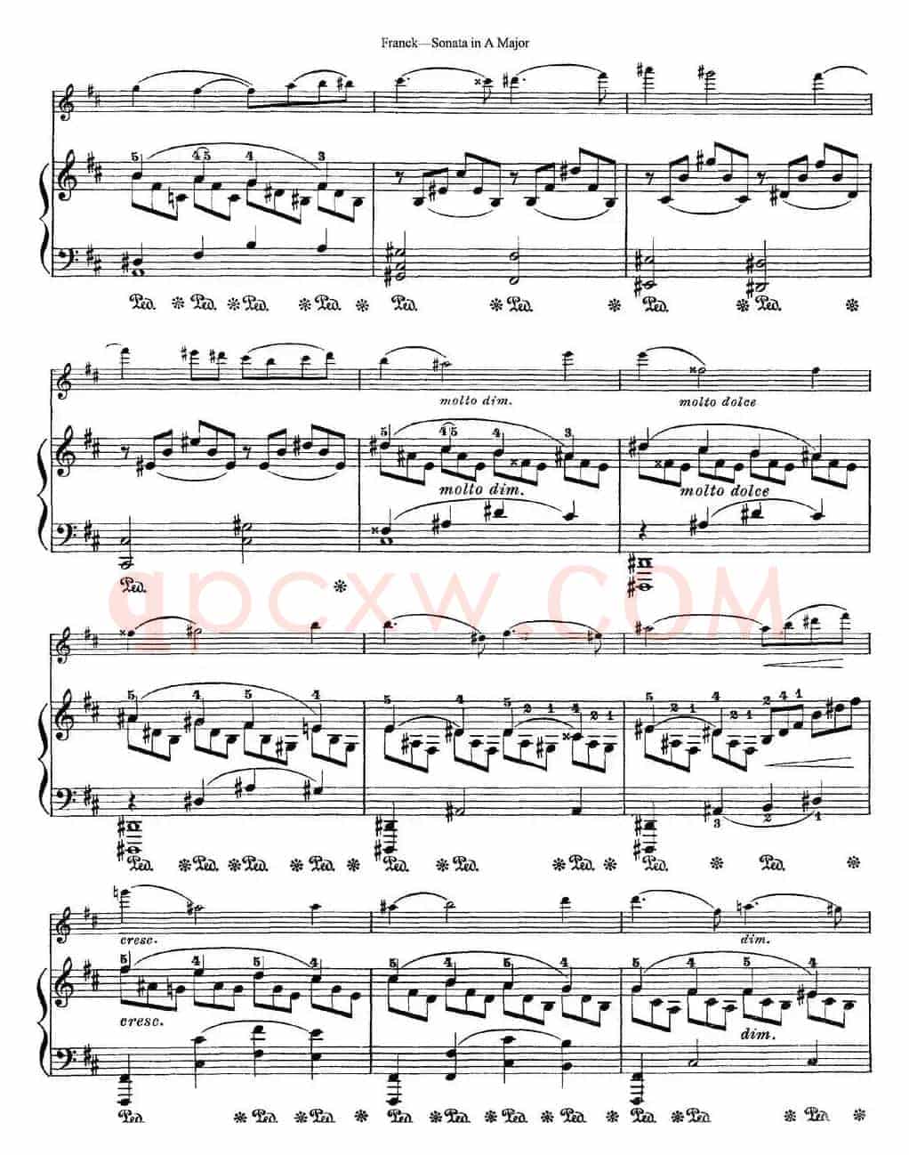 Franck Sonata in A Major（小提琴+钢琴伴奏）