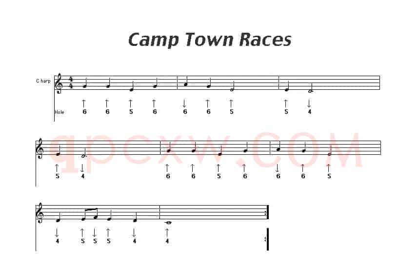 Camp  Town  Races（布鲁斯）