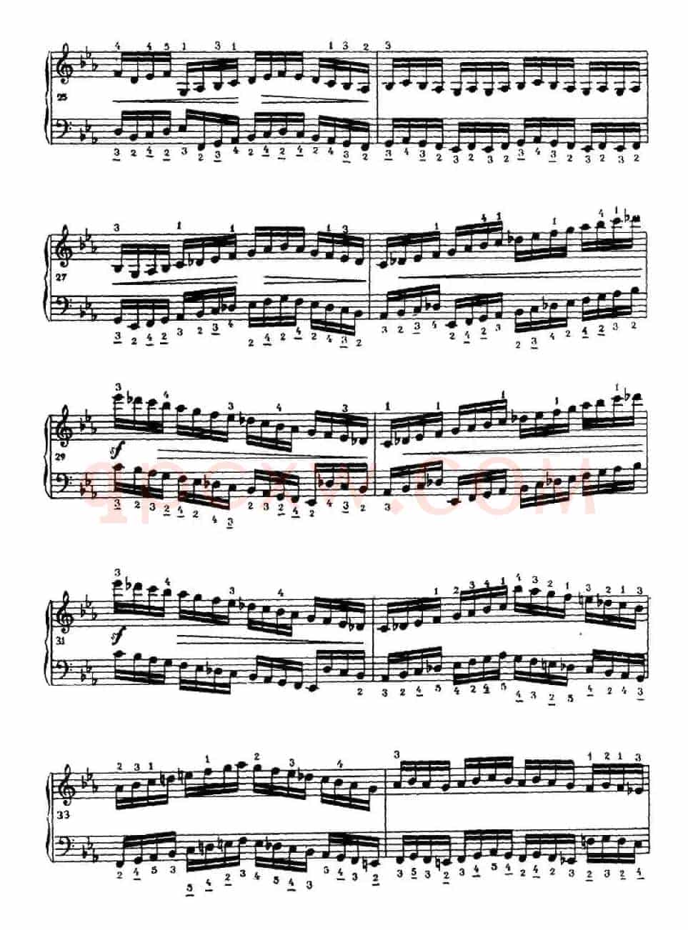 手风琴练习曲（3）