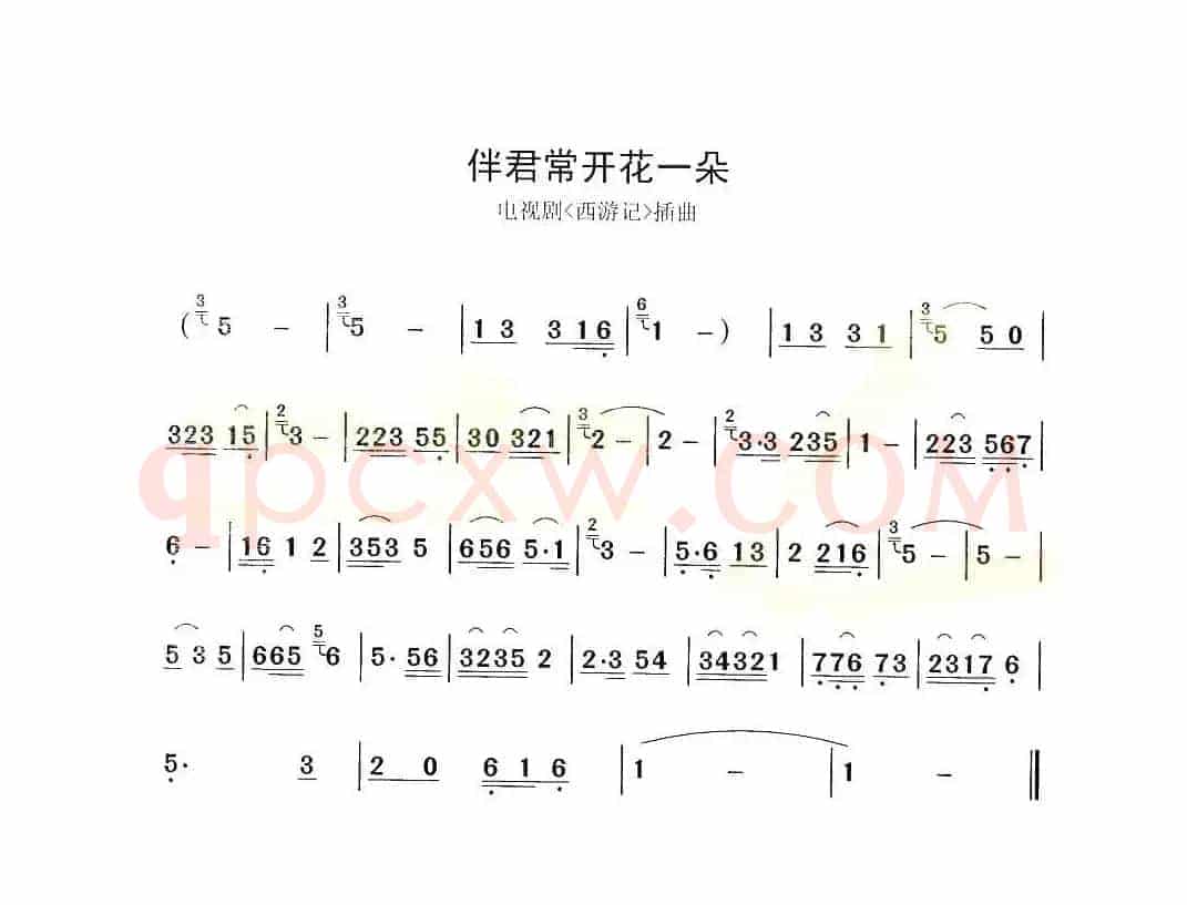 伴君常开花一朵